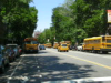 NY Buses Galore.png (50525 bytes)
